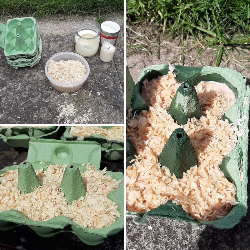 A composite image showing the supplies needed for the egg carton firelighters, and a few steps of the process