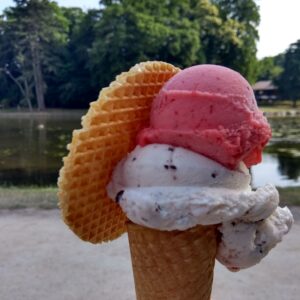 a photo of an ice cream cone with strawberry and chocolate chip ice cream with a circular wafer