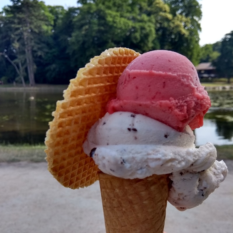 a photo of an ice cream cone with strawberry and chocolate chip ice cream with a circular wafer