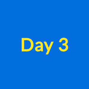 Day 3