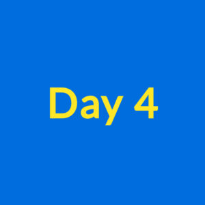 Day 4